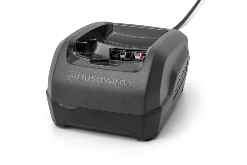 di seguito il link per tempo di ricarica di varie combinazioni di batterie e caricabatterie

https://www-static-nw.husqvarna.com/-/files/aprimo/husqvarna/brand/documents/brochure/mm-068933.pdf?v=963620b5